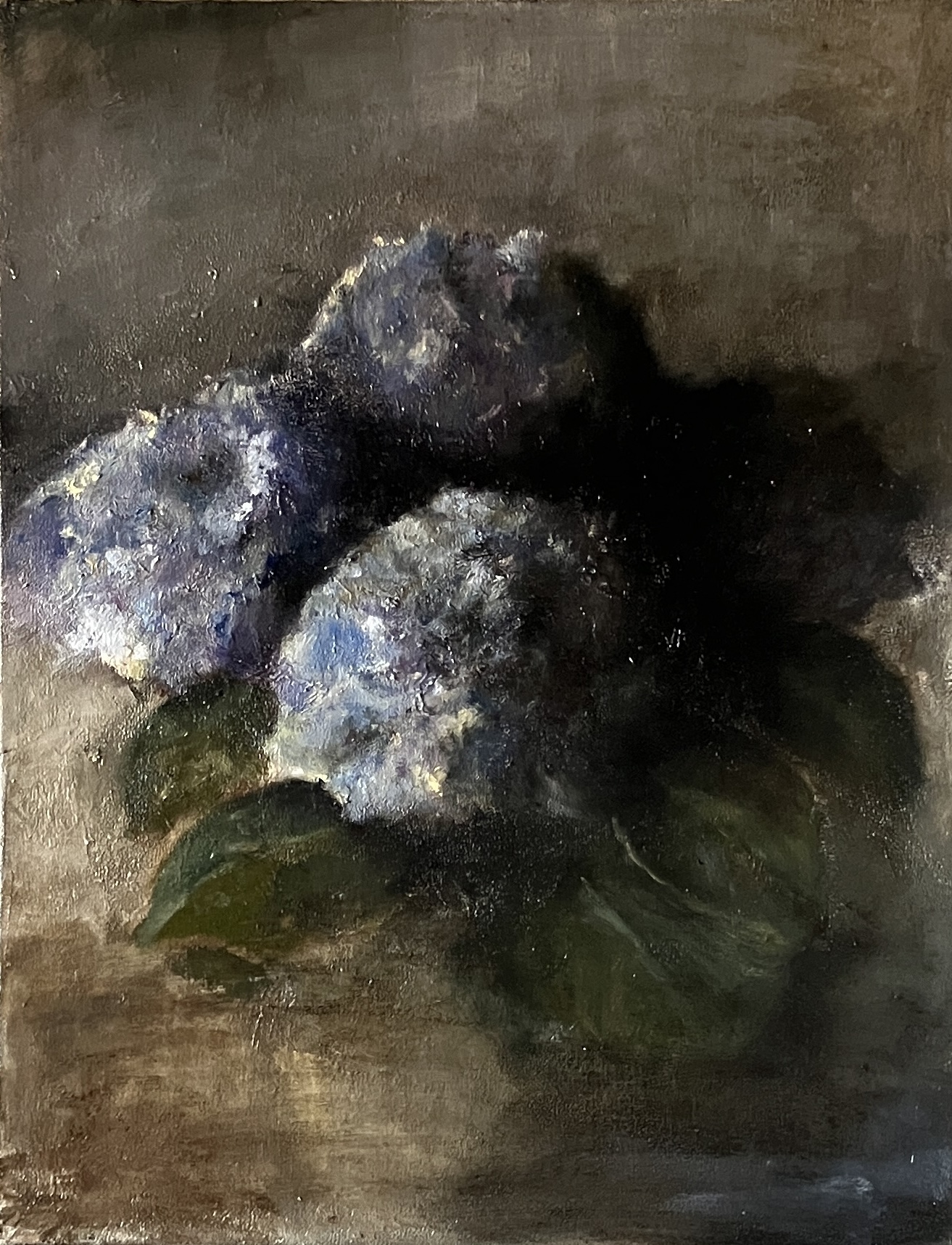 紫陽花 – Hydrangea – - 絵画構築 - Painting analysis -