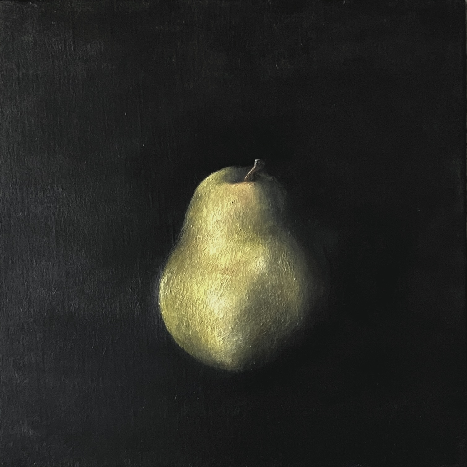 Still life / Natura morta #037 / tokio suzuki